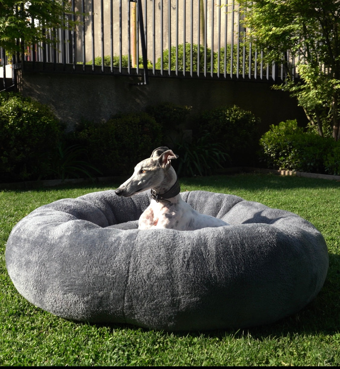 Cama Antiestrés KING (100 cm)